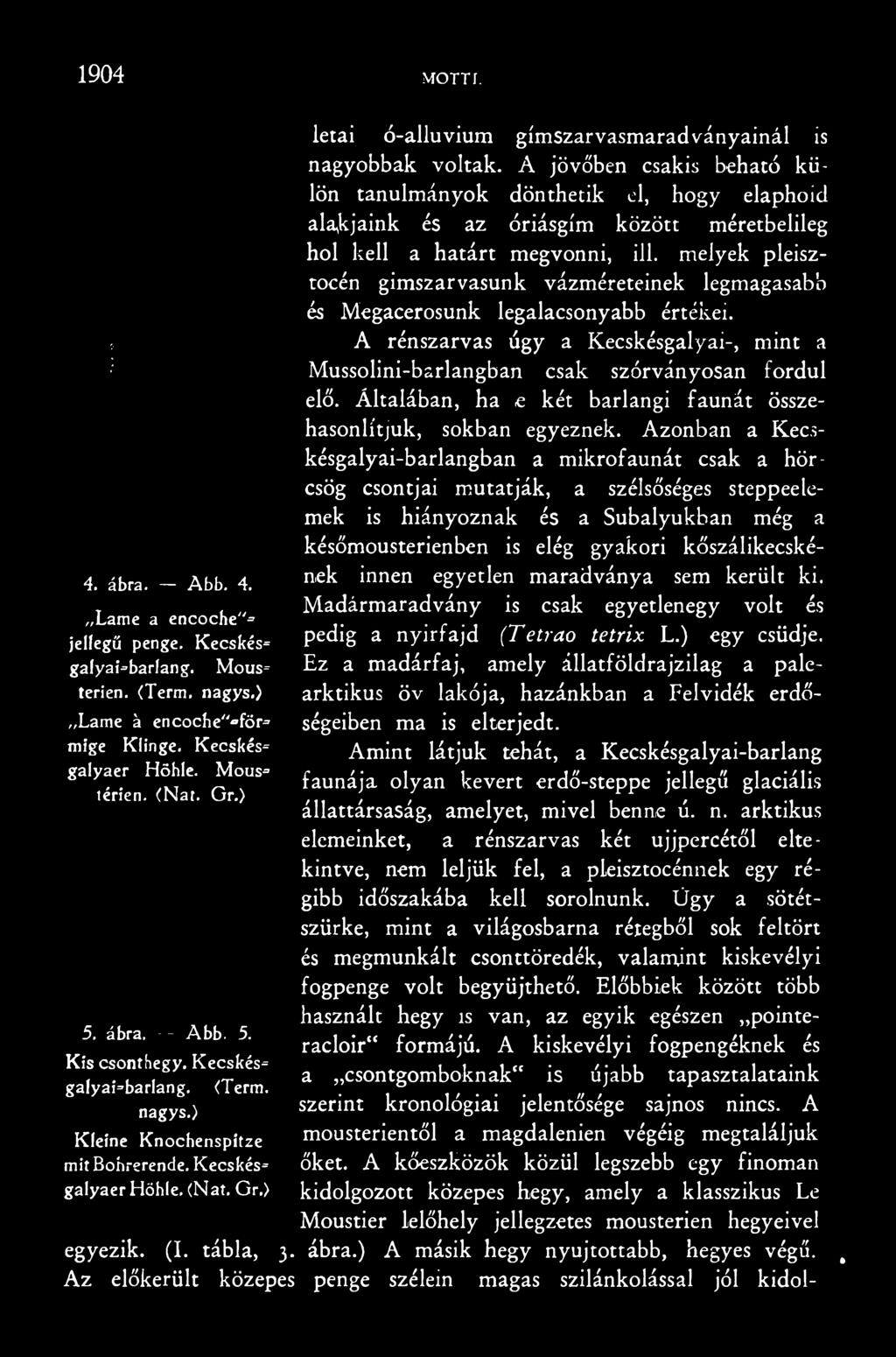 melyek pleisztocén gímszarvasunk vázméreteinek legmagasabb és Megacerosunk legalacsonyabb értékei. A rénszarvas úgy a Kecskésgalyai-, mint a Mussolini-barlangban csak szórványosan fordul elő.