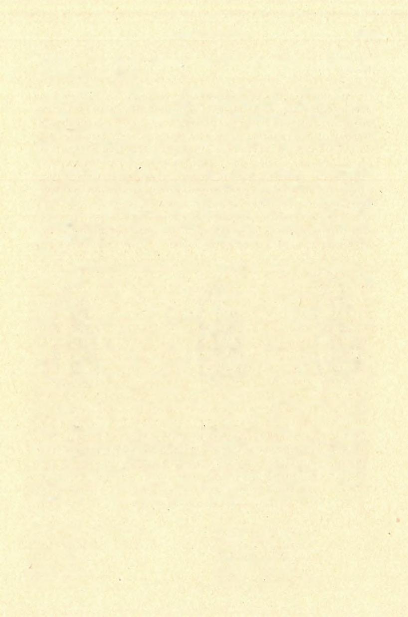 B A R LA N G K U T A T Á S 1 9 0 5 gazott eszköz, amely lame á encoche (La Micoque Kiinge mit Schaberkerben) jellegű.