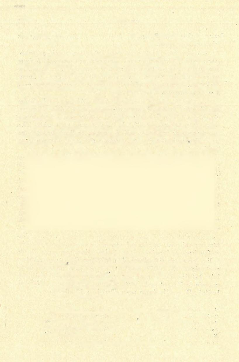 1 9 0 6 M OTTL B ison priscus B o j. Equus w o ld ric h i A n t. R u p ica p ra rupicapra L. Eleph as prim igenius B1 m b. A faunában a hiéna, az ősbölény és a ló uralkodik.