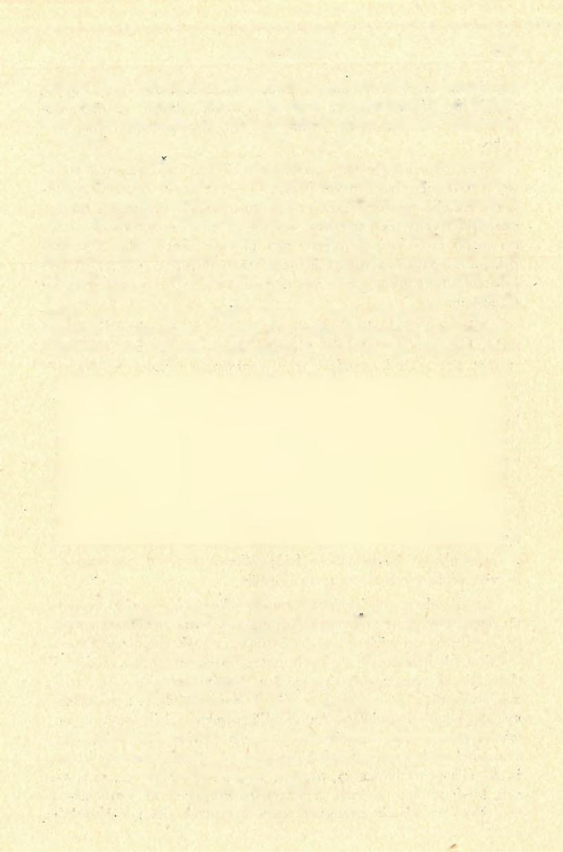BARLANGKUTATÁS 1 9 0 7 rajzait.