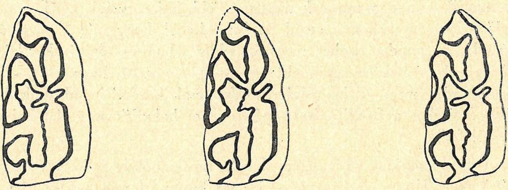 annakidején még E. caballus fossilis minornak leírt példányával milyen jól egyeznek, szemben a subalyuki és -a kecskésgalyai E. mosbachensisabeli-vú.