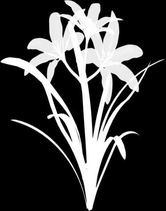 Angela Merici MASS INTENTIONS Saturday, September 28 Sunday, September 29 4:00p.m. Vigil June Calcagno The Quinn Family Tu Tran Frank Clesi, Jr.