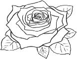 CYO News St. Angela Merici Pro-Life ministry We are excited to announce our inaugural CYO Rose Rally For Life to be held here at St. Angela on Friday, July 26, 2019 beginning at 9:00 p.m. and running through to 6:00 a.