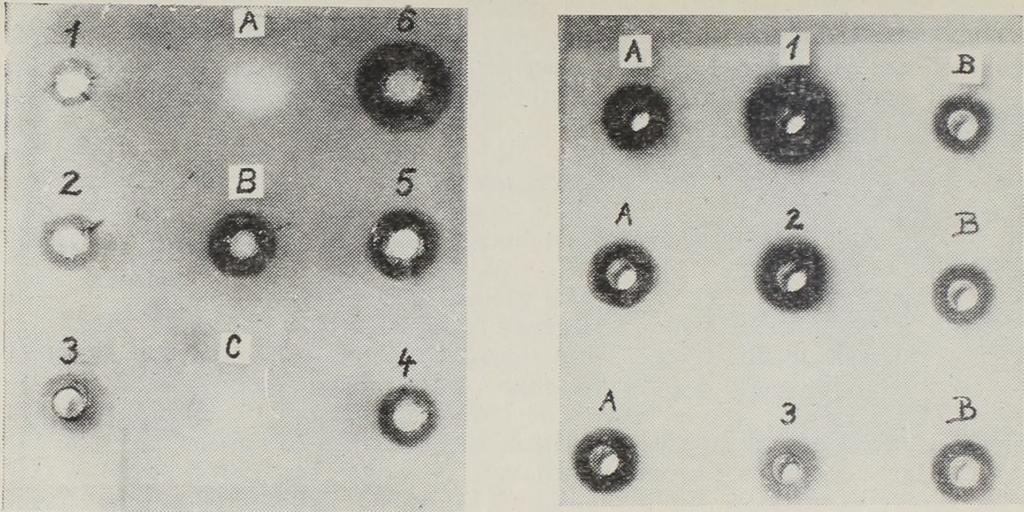 Tehát a vizsgált minták kimutatható mennyiségű Orthocidot nem tartalmaztak. Metilparation rovarölőszer (0,0-dimetil-0-(p-nitrofenil)-tiofoszfát). Élelmezésegészségügyi várakozási idő: 14 nap.