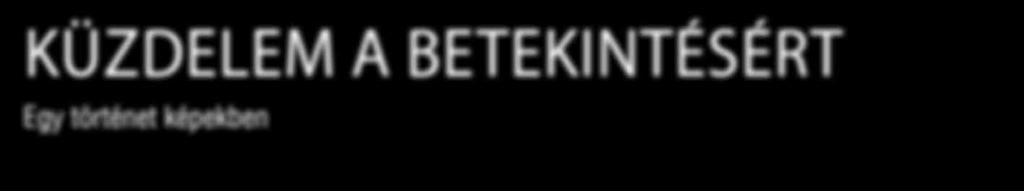 28 Házunk tája KÜZDELEM A BETEKINTÉSÉRT Egy történet képekben 1 A vezénylőzászlós útmutatása A Magyar Honvédség 2019.