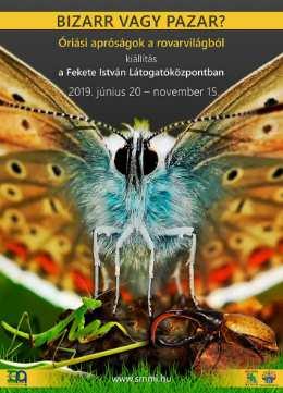 A Fekete István Látogatóközpont programjai: 2019. június 20-2019. november 15. Bizarr vagy pazar?- Óriási apróságok a rovarvilágból kiállítás 2019. október 5. 15.00-18.