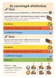 kezdőjátékos. (Erről részletesen a szabály 4. oldalán olvashattok majd a Add át a kezdőjátékos szerepét és állítsd be a kereket címszó alatt.