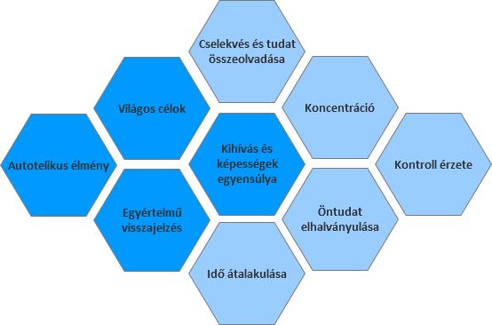 Flow jellemzői Flow feltételei Flow következményei Hamari, Juho & Koivisto, Jonna. (2014). Measuring flow in gamification: Dispositional Flow Scale-2. Computers in Human Behavior. 40. 133-143.