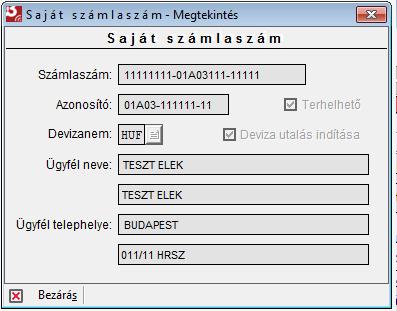 van a kijelölt számla részleteit külön ablakban megjeleníteni.