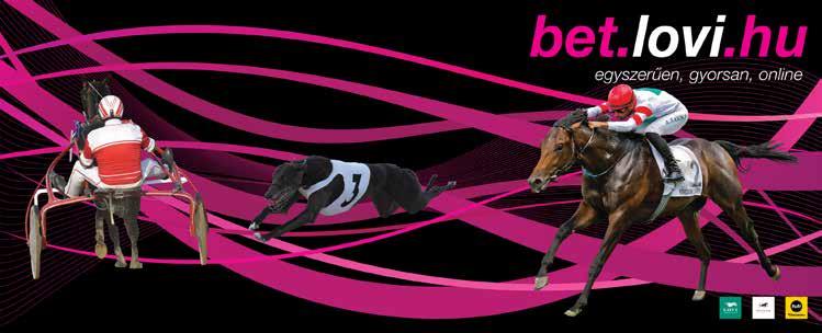 3 KAIR AL CHAM 4 m DAHESS - AL RYMA 6 57 28990 EUR J.AUGE AL SHAQAB RACING T.FOURCY 1P1P1P2P6P 2019.09.08 DUINDIGT 0 2000 01 0 29500 KAIR AL CHAM-- 2019.07.