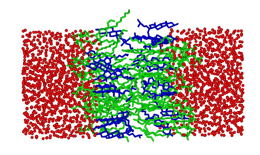 P H Izoterm-zobár (,P,T) Izoterm-zobár (,P,T) megváltozk a cella alakja elvékonyodk a membrán (összetömörödk) Jedlovszky és Meze, J. Phys. hem (3), 7, pp.