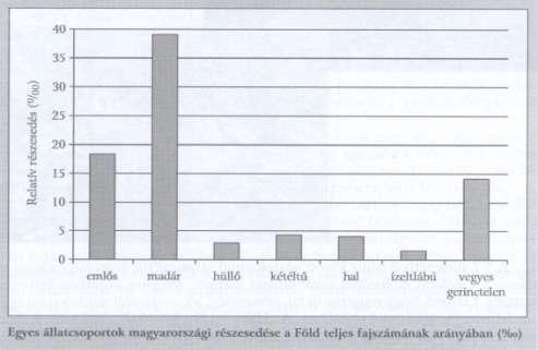 - A világ jól feltárt része A magyar bióta feltártsága - A madarak esetében van a legnagyobb részesedés a világon található fajokhoz