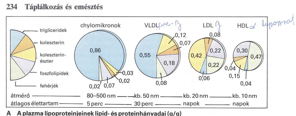 Trigliceridek: <1,7 mmol Koleszterin: