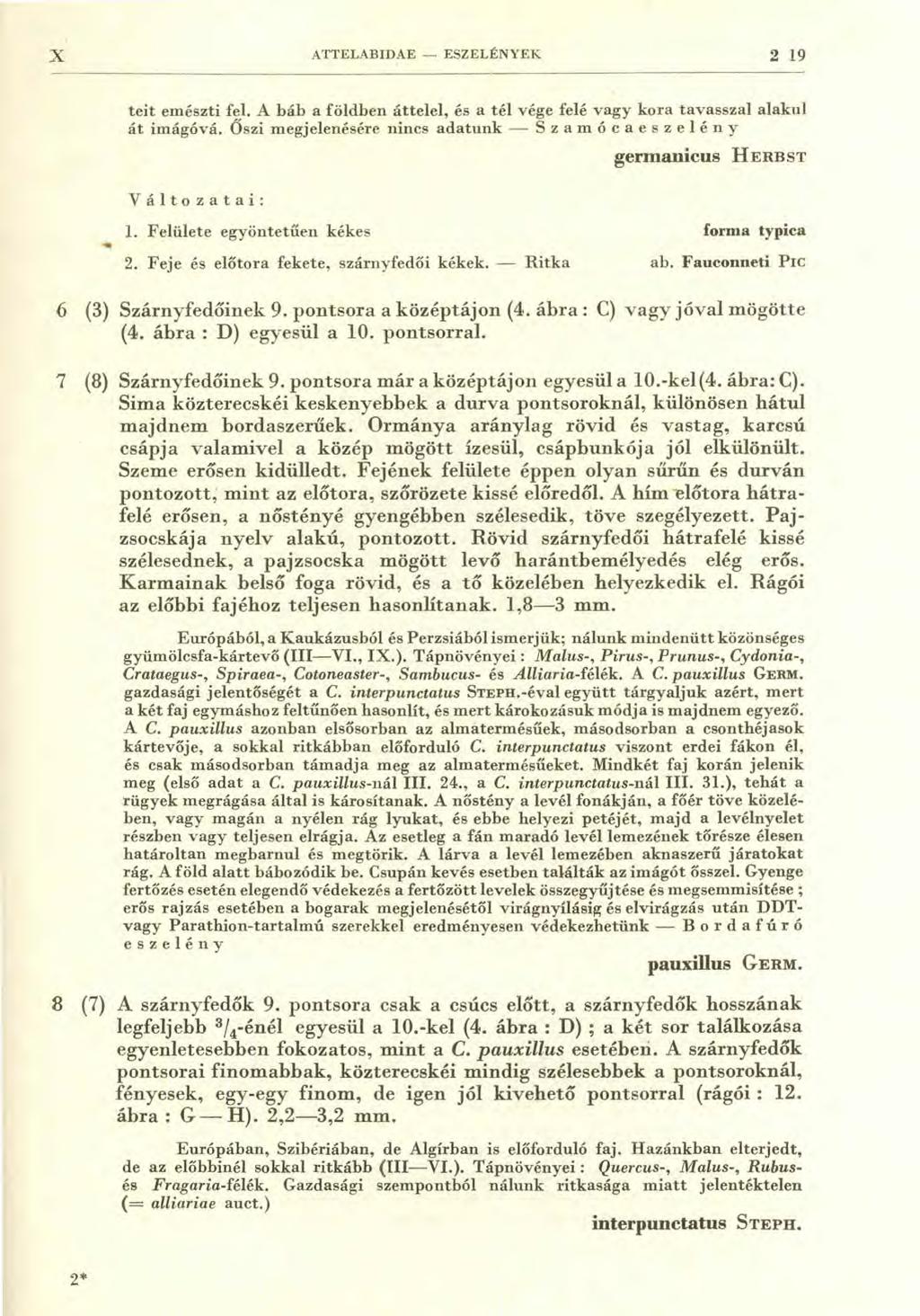 X ATTELABIDAE - ESZELÉNITEK 2 19 teit emészti fel. A báb a földben áttelel, és a tél vége felé vagy kora tavasszal alakul át imágóvá.