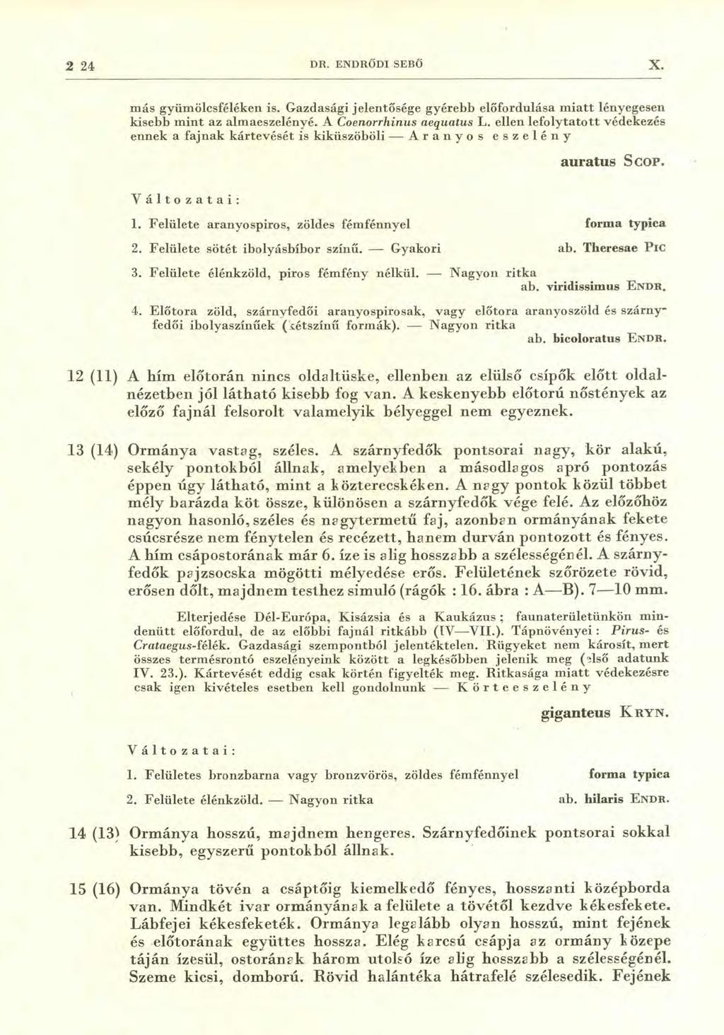 2 24 DR. ENDRŐDI SEBŐ X. más gyümölcsféléken is. Gazdasági jelentősége gyérebb előfordulása miatt lényegesen kisebb mint az almaeszelényé. A Coenorrhinus aequatus L.