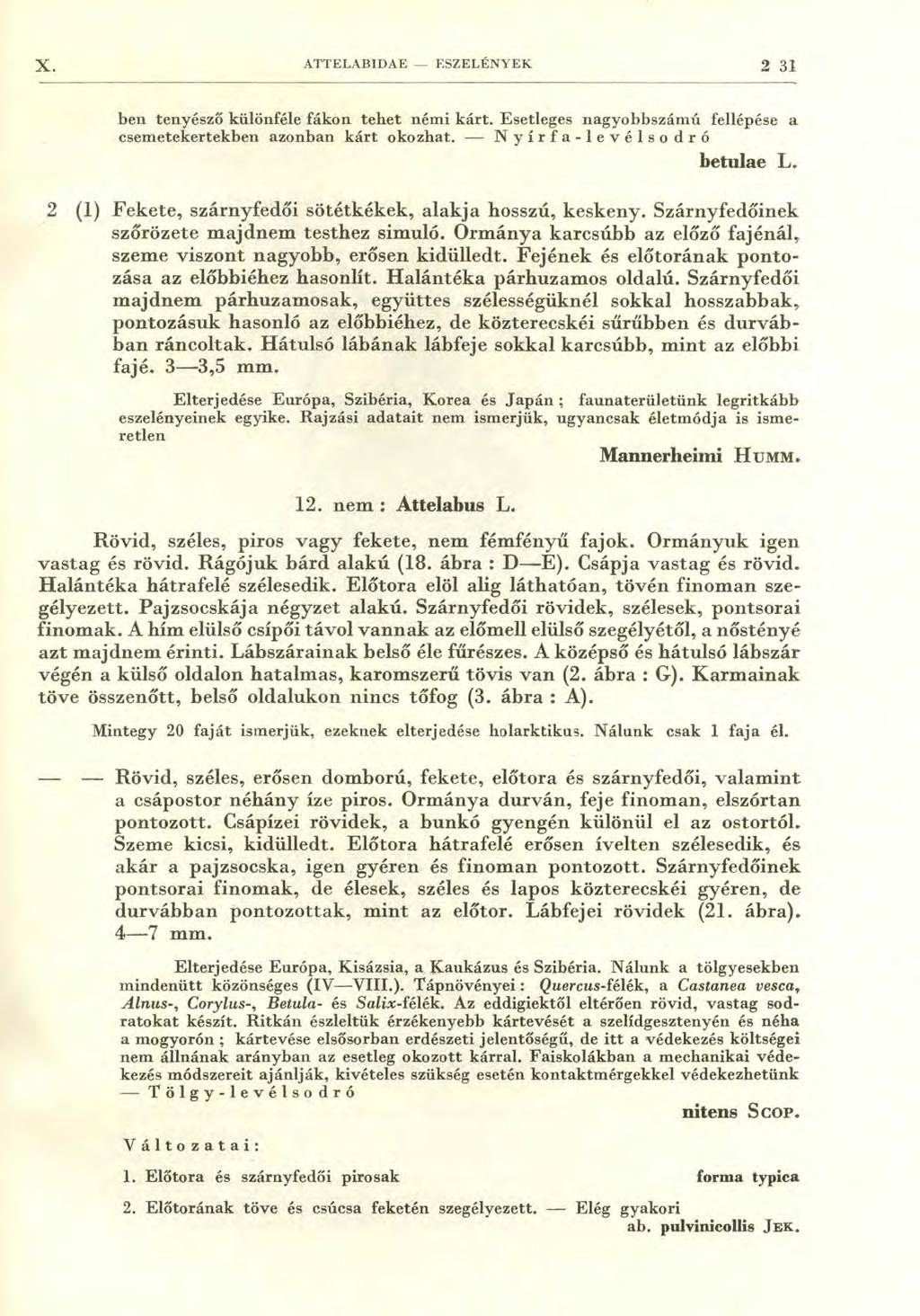 X. ATTELABIDAE - ESZELÉNYEK 2 31 ben tenyésző különféle fákon tehet némi kárt. Esetleges nagyobbszámú fellépése a csemetekertekben azonban kárt okozhat. Nyír fa-le v é l s o d r ó betulae L.