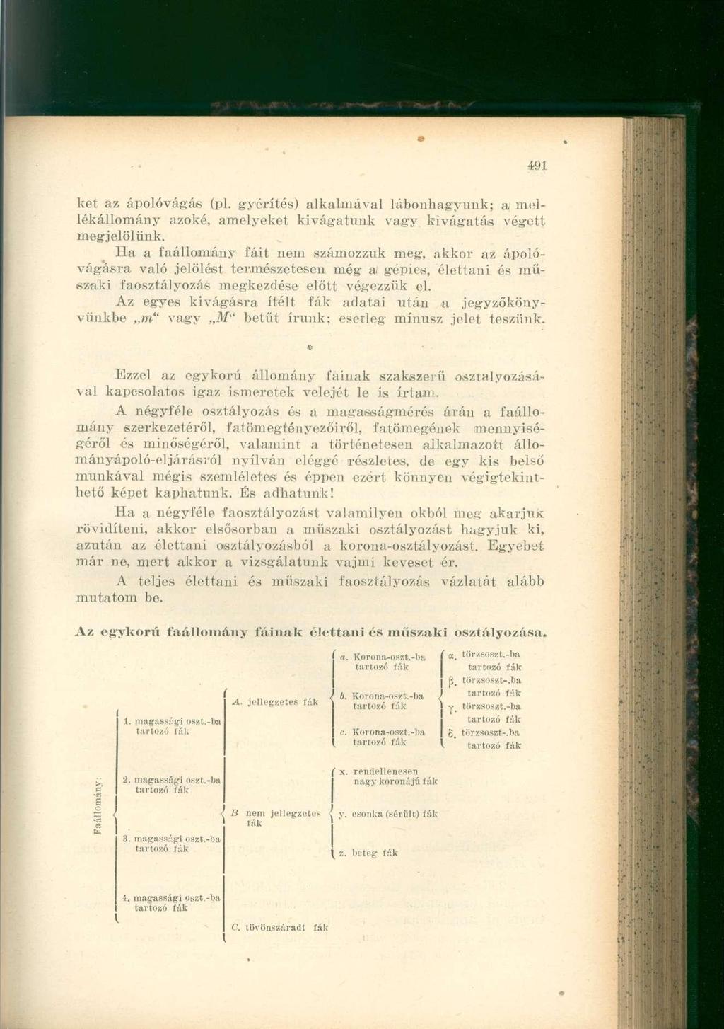 ket az ápolóvágás (pl. gyérítés) alkalmával Lábonhagyunk; a, meilékállomány azoké, amelyeket kivágatunk vagy kivágatás végett megjelölünk.