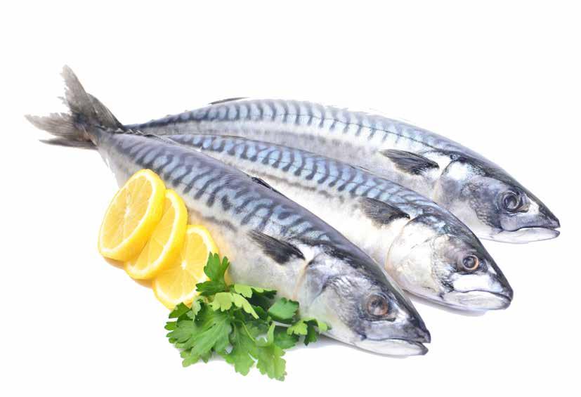nagyon jó ár-érték arányú hal, kiválóan alkalmas