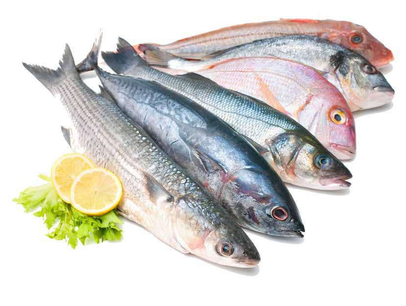 Aranydurbincs 300-400 g/db 5 kg/# Ördöghal filé 20%