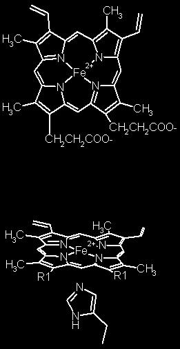 Példa a kooperatvitásra és az allosztériára: a HEMOGLOBIN A metabolizmus O 2 igénye nagy Molekulák oxigén szállításra: hemoglobin tárolásra: mioglobin Hb mentes vér: 5 ml