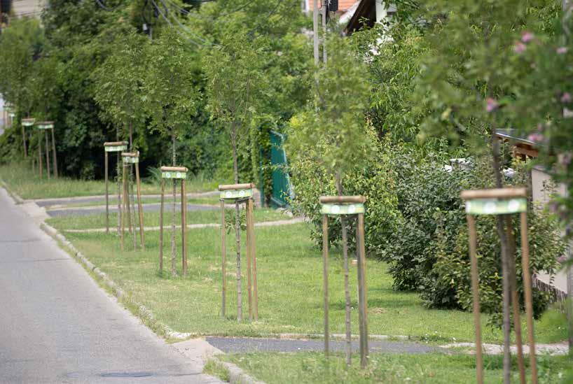 Minden napra egy faültetés Sok kutatás igazolja, hogy a természetben töltött idő jó hatással van testi és lelki egészségünkre is.