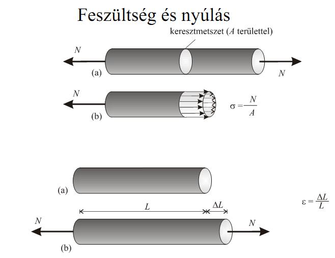 Anyagtörvények Feszültségek Kollár László: