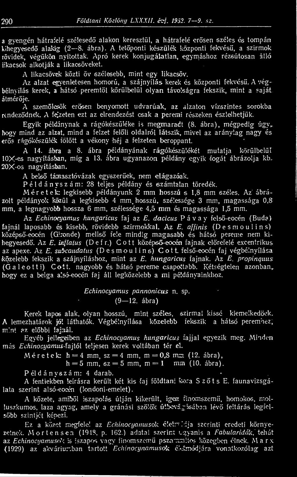 A likacsövek közti öv szélesebb, mint egy likacsöv. Az alzat egyenletesen homorú, a szájnyílás kerek és központi fekvés.