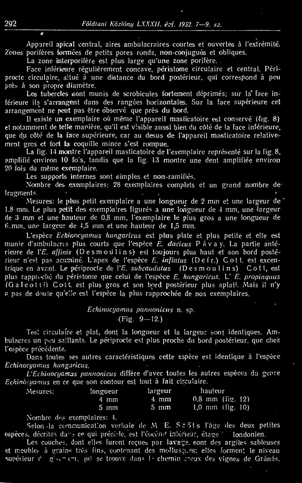 Faee inférieure réguliérement concave, péristome circulaire et Central. Périprocte circulaire, situé á une distance du bord postérieur, qui correspond á peu pré:> á són propre diamétre.