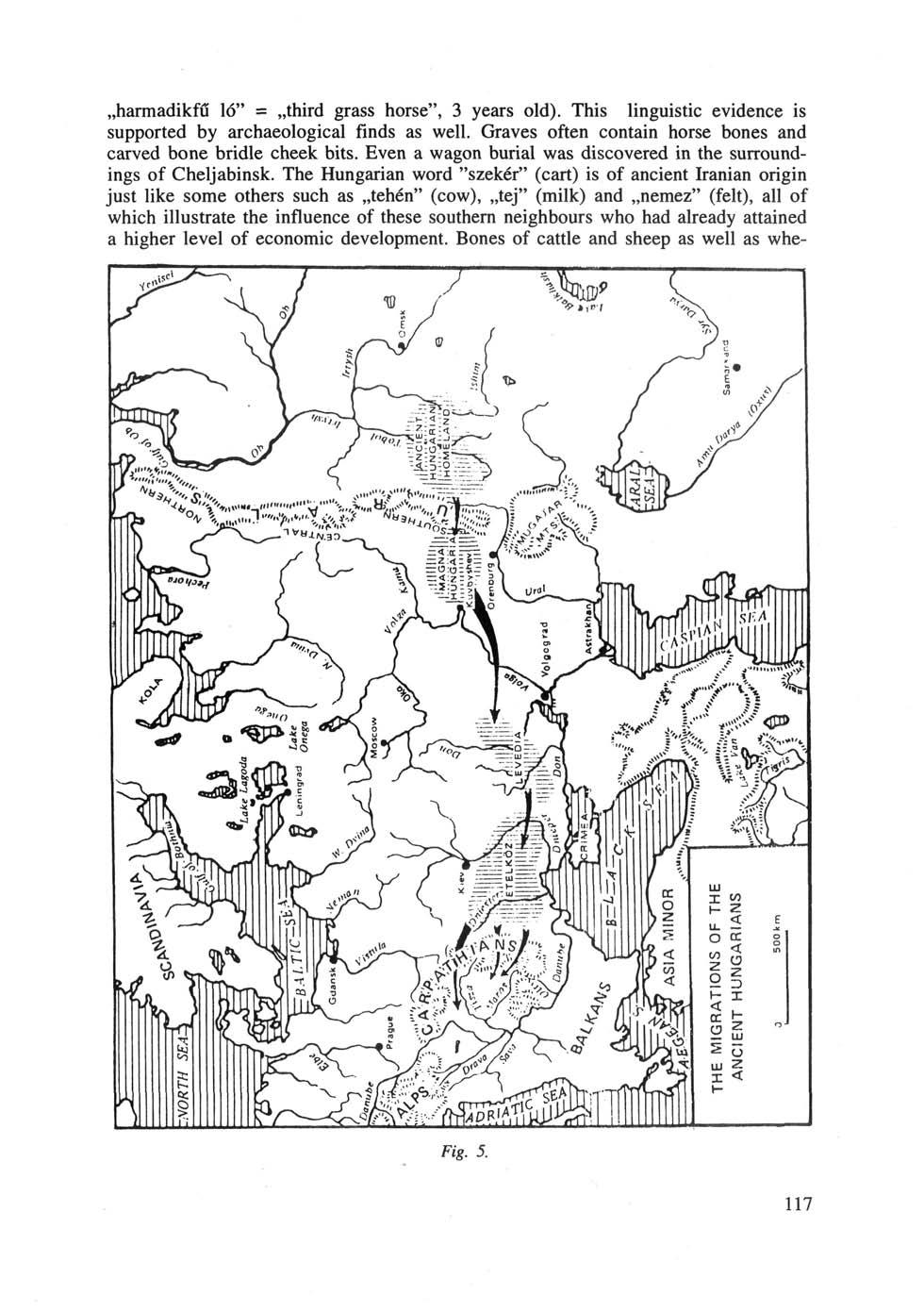 harmadikfű ló" = third grass horse", 3 years old). This linguistic evidence is supported by archaeological finds as well. Graves often contain horse bones and carved bone bridle cheek bits.