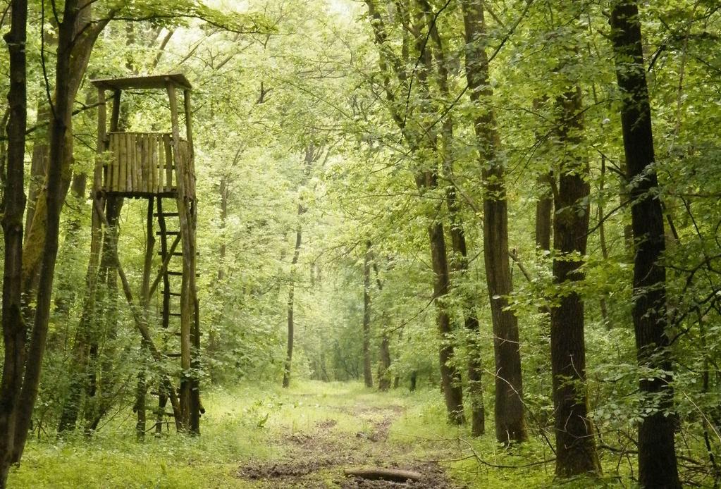 Tiszatelek-Gávavencsellő térségében, de jelentős nagyságú Natura 2000 hálózatba tartozó