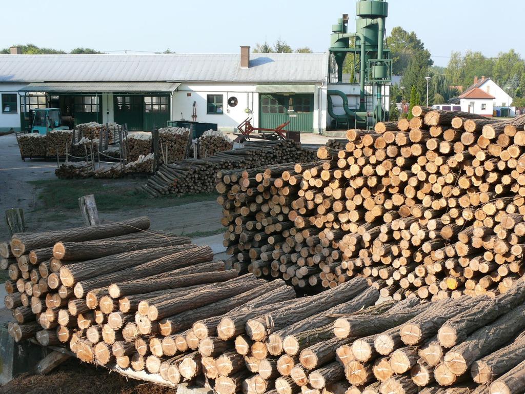 Főként akácot dolgoznak fel Az üzemben elsősorban a hengeresfa-választékok megmunkálását végzik, cölöpfák, hengeres oszlopok, karók és szíjácsmart-csiszolt oszlopok készülnek.