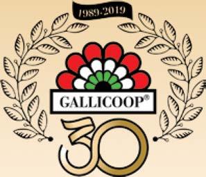 (628 ) GALLICOOP KÓPÉ FASÍRT