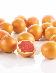 PIROS GRAPEFRUIT*** 1 kg JÉGSALÁTA*** FÜSTÖLT, FŐTT TARJA és,