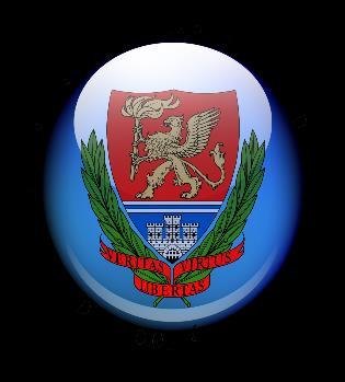 Egy új típusú szulfid kinon oxidoreduktáz funkcionális
