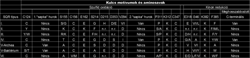 Kevés adat áll rendelkezésünkre azzal kapcsolatban, hogy hogyan hat az SQR fehérje jelenléte / hiánya a sejtek növekedésére szulfid, mint egyedüli redukált kénforrás mellett.