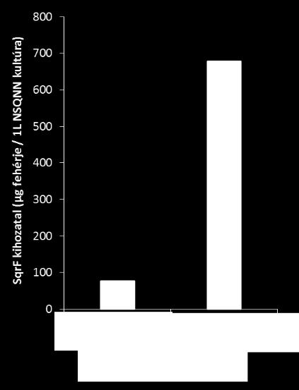 23. ábra: Különböző hígítási lépéseket alkalmazó fehérje tisztítási metódusok tisztított SqrF fehérje kihozatala A bemutatott eredmények alapján kifejlesztettem a membránhoz kapcsolt SqrF
