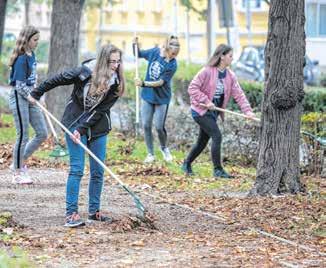 A madárgyűrűzés része az iskolában tavaly indult négyéves kutatóprogramnak, amelyben a diákok a szakirányuknak megfelelően vehetik ki részüket.