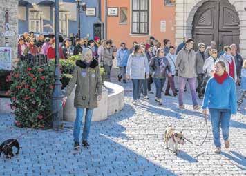 A visszajelzések szerint sikerrel jártak, ugyanis egy-egy városismereti sétán akár két háromszázan is részt vesznek, köztük olyanok is, akiknek nemrégiben lett új lakhelyük Sopron.