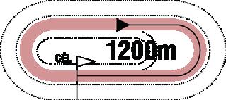 2019.10.13 FUTAM 16:35 (217) A futam neve: ZUGLÓI HENDIKEP (V/b.) (szintetikus pálya) Összdíjazás: 440000 Ft (220000, 88000, 66000, 44000, 22000) 1 Supreme * 69.5 Drexler Virginia am. (1.