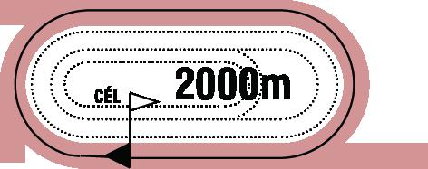 2019.10.13 FUTAM 14:00 (212) A futam neve: MAGLÓDI DÍJ (kat.) Összdíjazás: 690000 Ft (345000, 138000, 103500, 69000, 34500) Egyéb információ: ANITECH tiszteletdíja a győztes ló idomárjának.