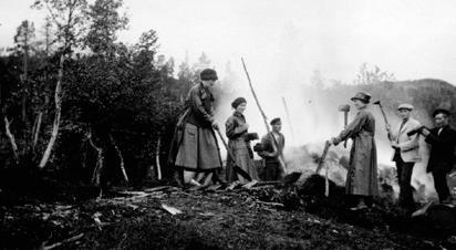 Optegnelser 1914. Havde med fra Kristiania den der kjøpte stamhingst Torbein, 4 aar, pris kr 3500.00. Det gik godt paa turen, men nù siden har han været slem der han har været.