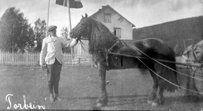 Jagi 1914 oste Málatvuopmái døla-ore Torbein Oslo ávvočájáhusas. Dán heastta birra Johan muitala.