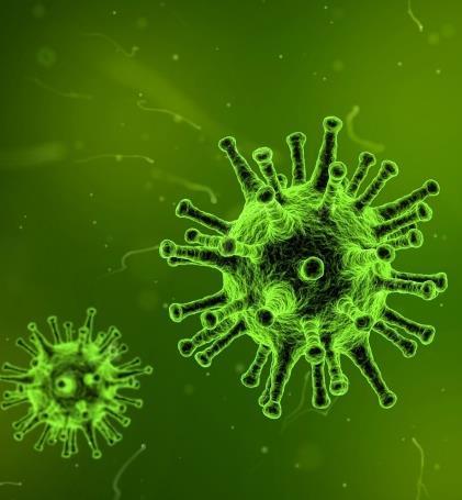 Fertőző betegségek A biztosító a kockázatviselés tartama alatt bekövetkezett rotavírus fertőzés vagy szalmonella fertőzés vagy fertőzés következtében kialakuló agyburok- és/vagy agyvelőgyulladás