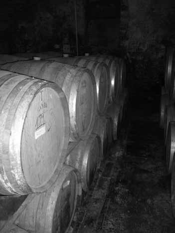 492 gazdálkodás 59. évfolyam 5. szám, 2015 (488 493) Előadásszekció Pincerészlet a Bor és grappa elnevezésű konferenciatúráról rek bemutatása következett.