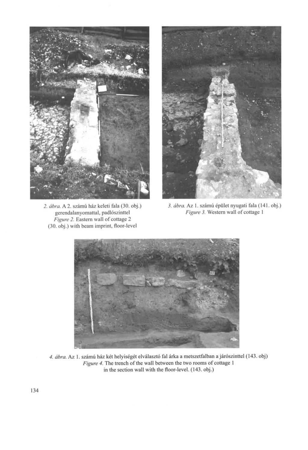 2. ábra. A 2. számú ház keleti fala (30. obj.) gerendalanyomattal, padlószinttel Figure 2. Eastern wall of cottage 2 (30. obj.) with beam imprint, floor-level 3. ábra. Az 1.