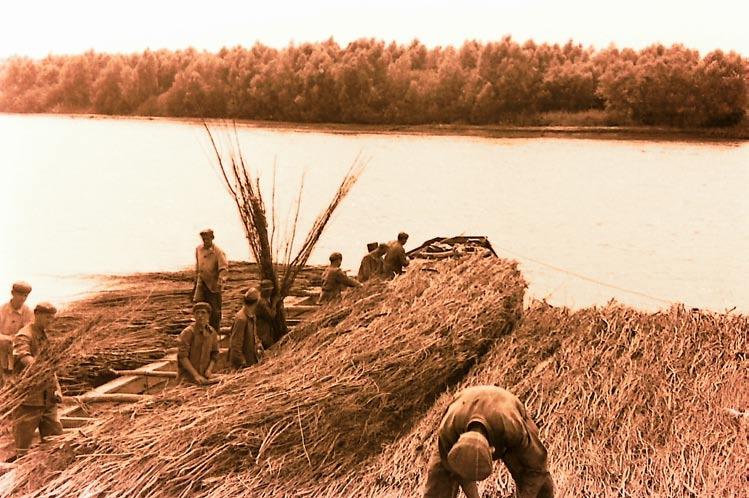 Drávától a Balatonig a Dél-dunántúli Vízügyi Igazgatóság időszaki lapja 2019 II.