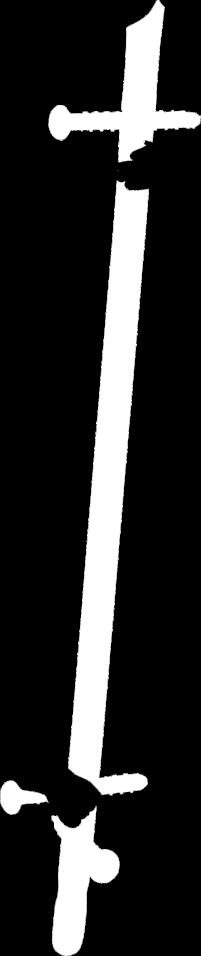 anatómiai