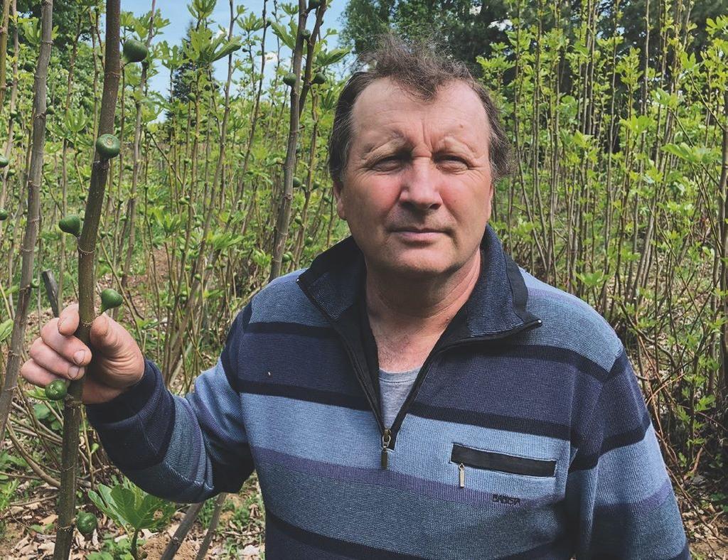 vagy paprika sorakozik, miközben mindkettőnek (és persze a többi zöldségfélének is) számtalan változata van. Nos, ezeket mi a kertben meg tudjuk termelni, a számuk már eléri a harmincat.