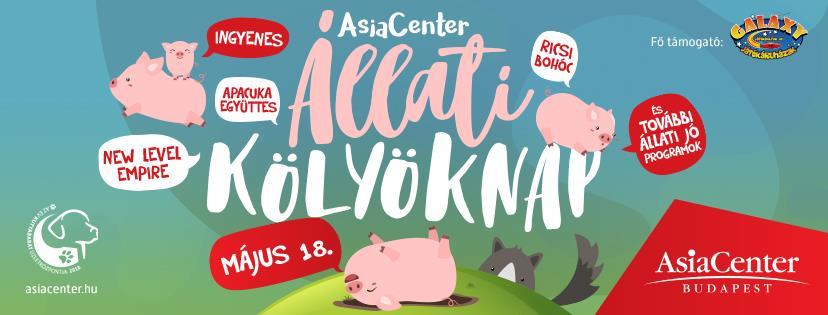 Legfo bb eseményeink, amelyeken örömmel