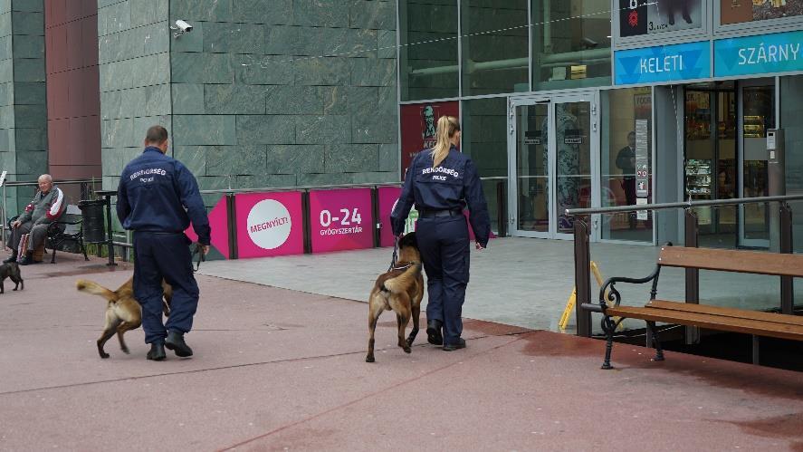 jól felszerelt kisállat szakrendelo, a Vet For Pet.